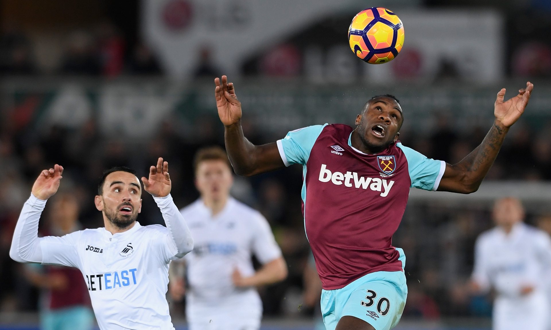 任何潜在的 任何潜在的