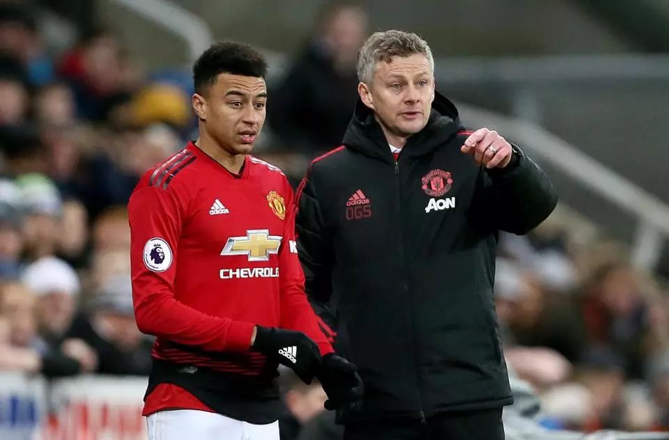 了大批忠实 了大批忠实